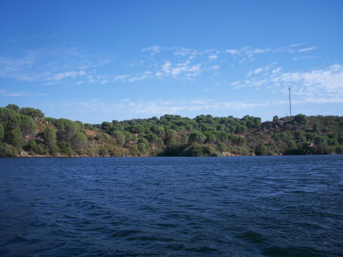 De Madera Junto Al Jaras Cordoba